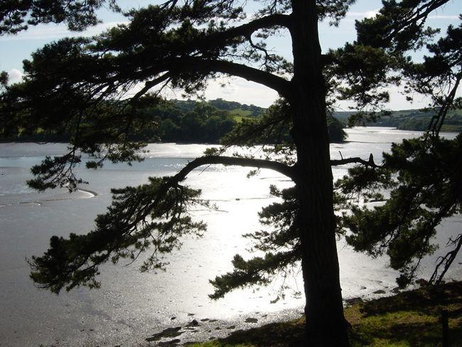 Waterside Holiday Cottages Truro Exterior foto